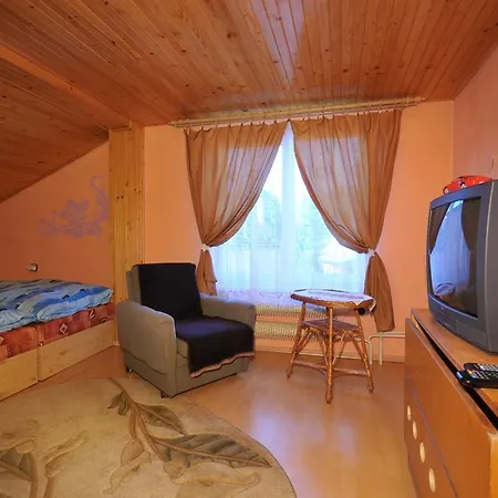 게스트하우스 Privat Lujza 3*